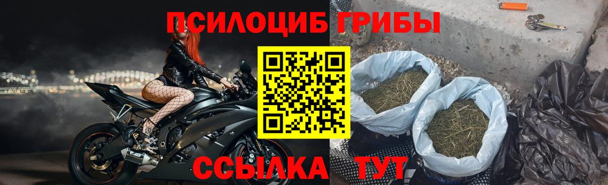 Псилоцибиновые грибы мухоморы Новочебоксарск
