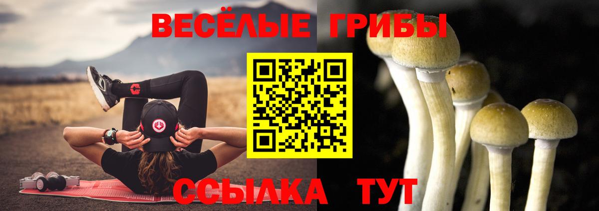даркнет сайт  Псилоцибиновые грибы Psilocybe  Вход с VPN  Галлюциногенные грибы Psilocybe  Новочебоксарск 